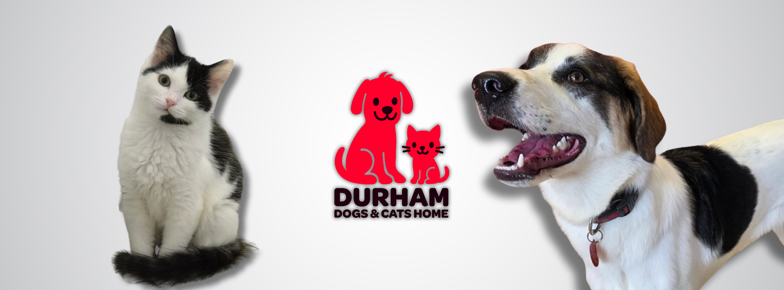 Christmas Raffle 2025